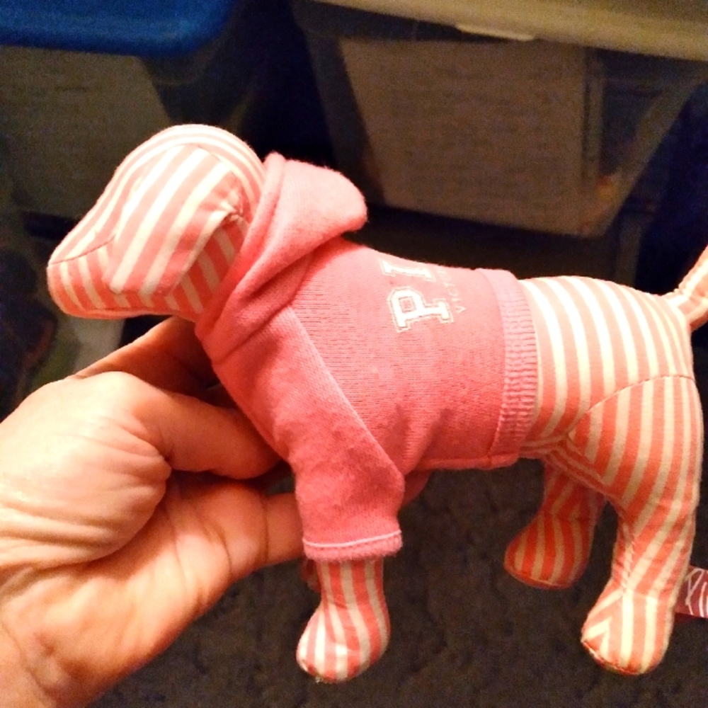 VS Pink doggie!